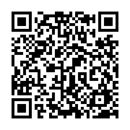 QR code for 313NSG