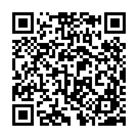 QR code for 313PFN