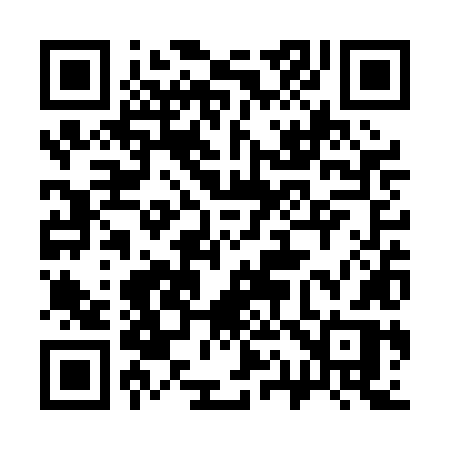 QR code for 313PLR