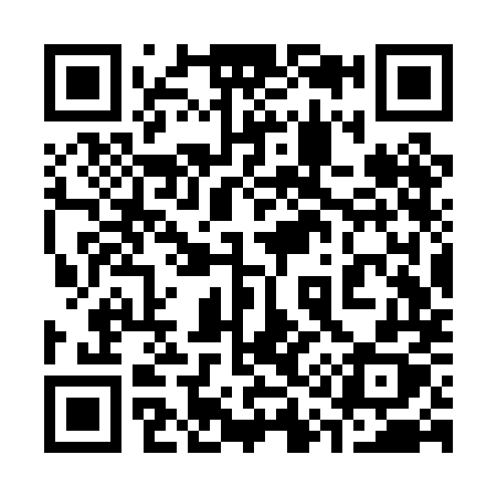 QR code for 313PMX
