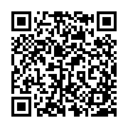 QR code for 313PTO
