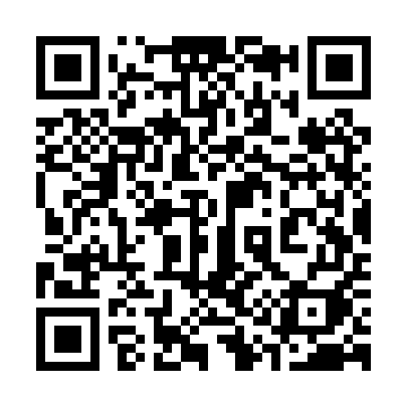 QR code for 313PUI