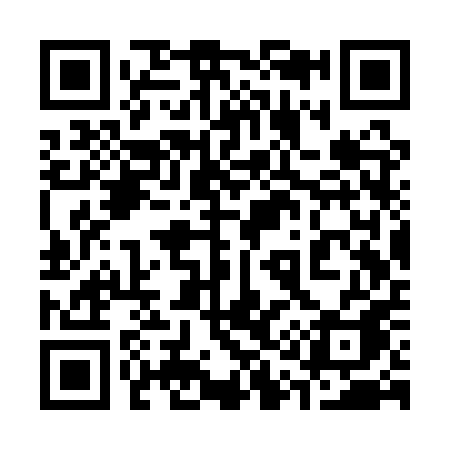 QR code for 313QPA