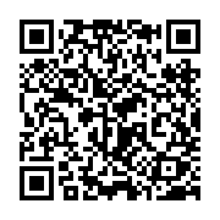 QR code for 313RMY