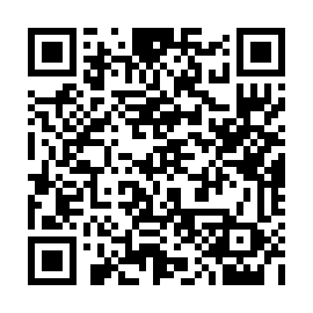 QR code for 313RTX