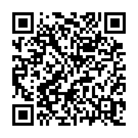 QR code for 313SDG