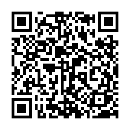 QR code for 313SFQ
