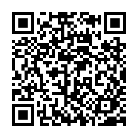QR code for 313SIO