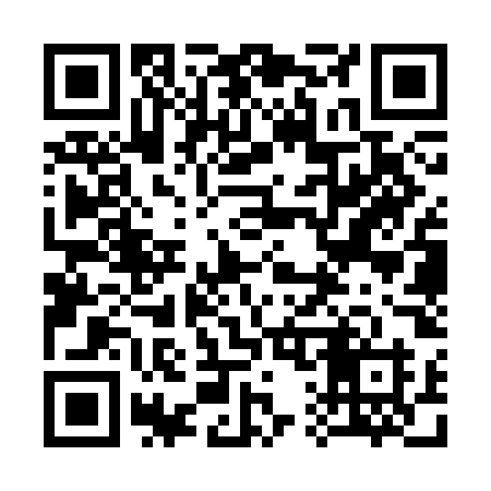 QR code for 313SOH
