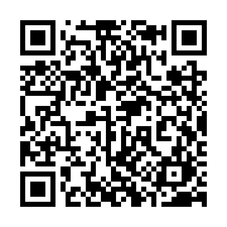QR code for 313SRL