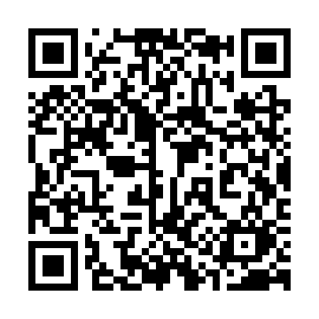 QR code for 313SSO