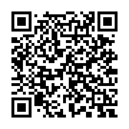 QR code for 313TOH