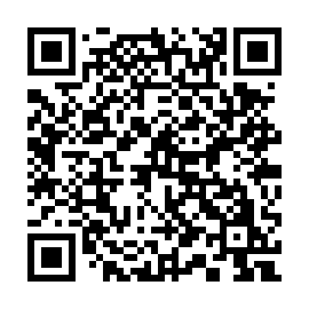 QR code for 313TQO