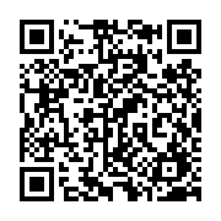 QR code for 313TRD