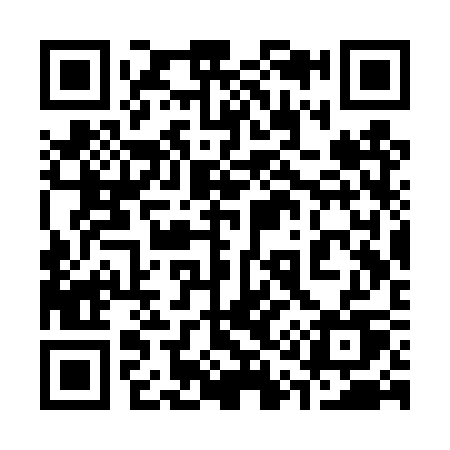 QR code for 313TSU