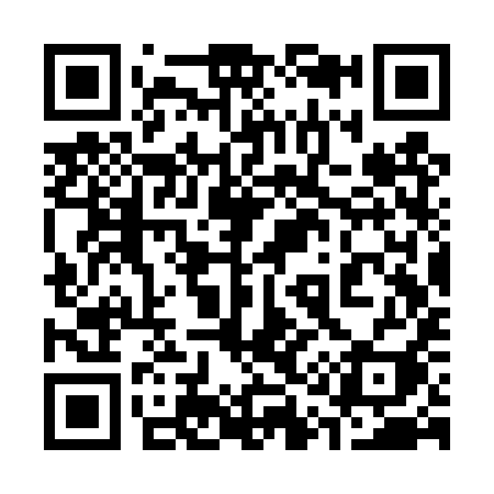 QR code for 313TYI