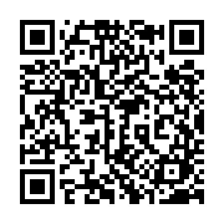 QR code for 313UDM