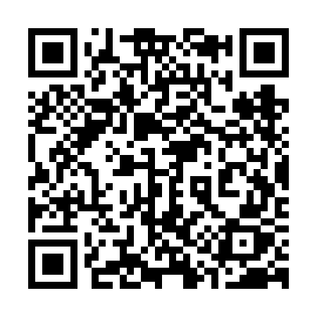 QR code for 313VGZ