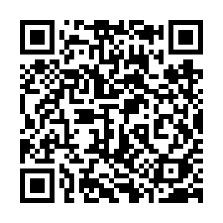 QR code for 313VQI