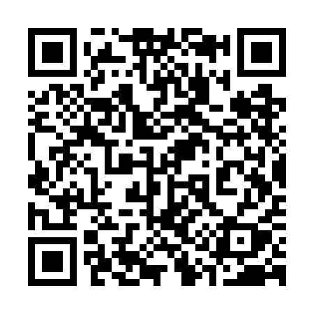 QR code for 313WAY