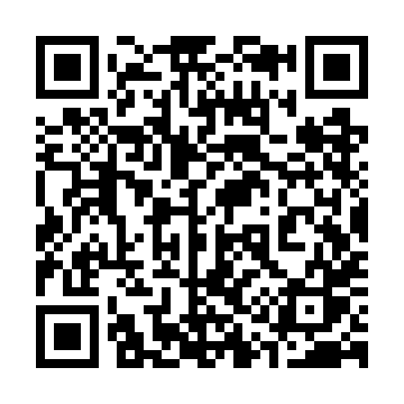 QR code for 313WHS