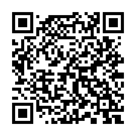 QR code for 313WPM