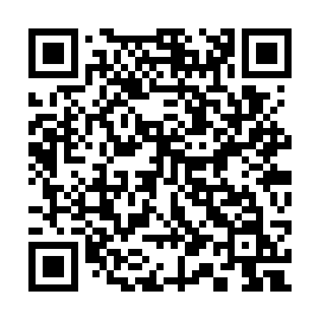 QR code for 313WSN