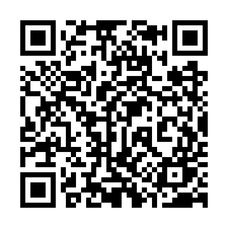 QR code for 313WUW