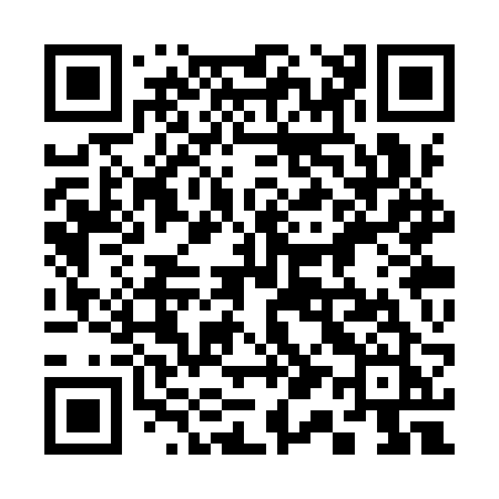 QR code for 313YRJ