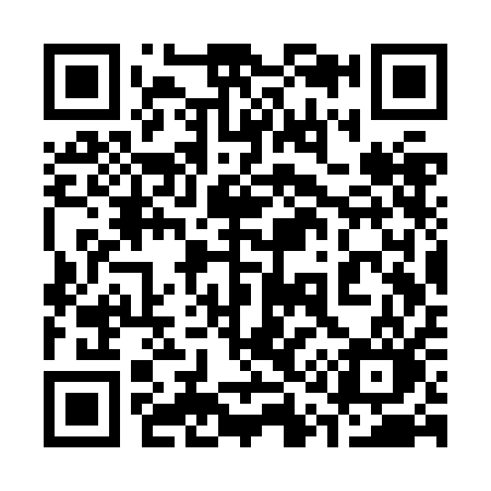 QR code for 313ZAO