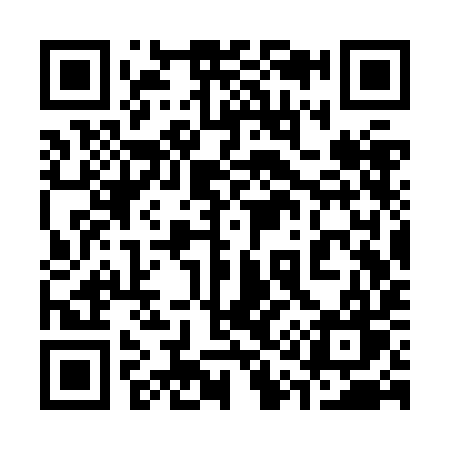 QR code for 313ZIW