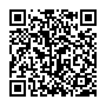 QR code for 314MSP