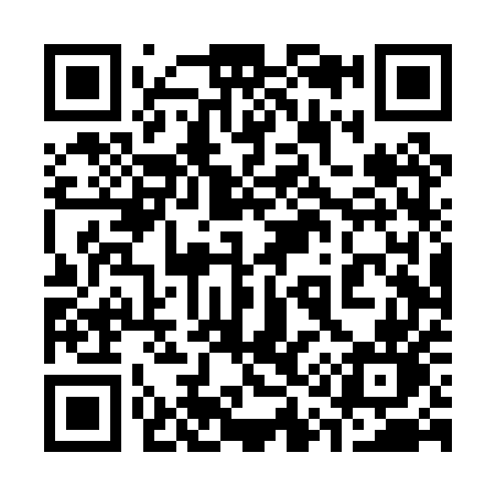 QR code for 314PUN