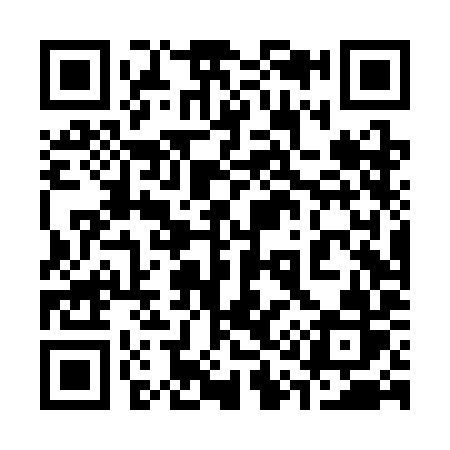 QR code for 314SIR