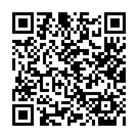 QR code for 316PIV
