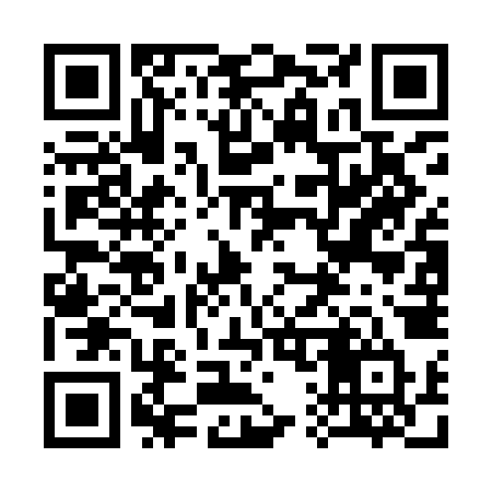 QR code for 317IJT