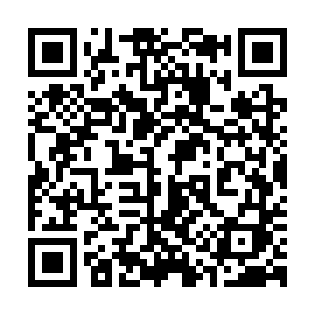 QR code for 317STI