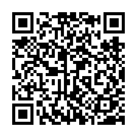 QR code for 317VIP