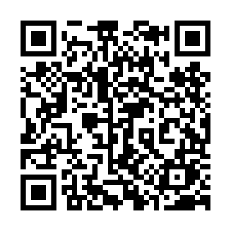 QR code for 318DOL