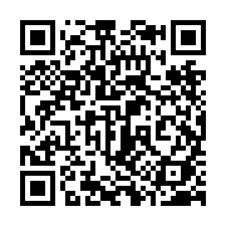 QR code for 318NII