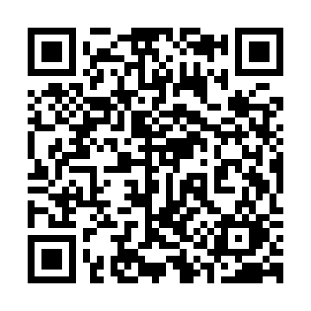 QR code for 319ISO