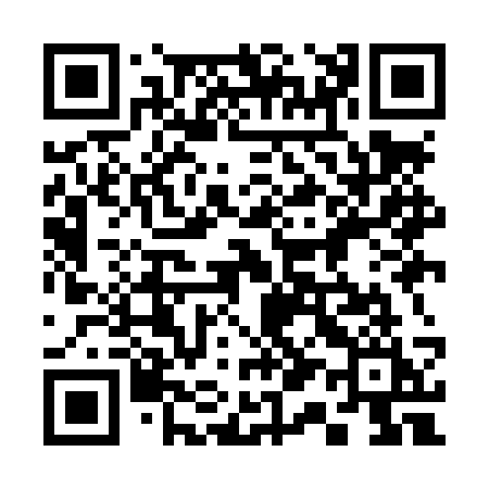 QR code for 319LSI