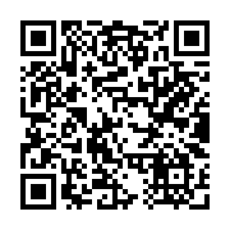 QR code for 319VKO