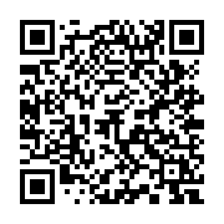 QR code for 320ZMX