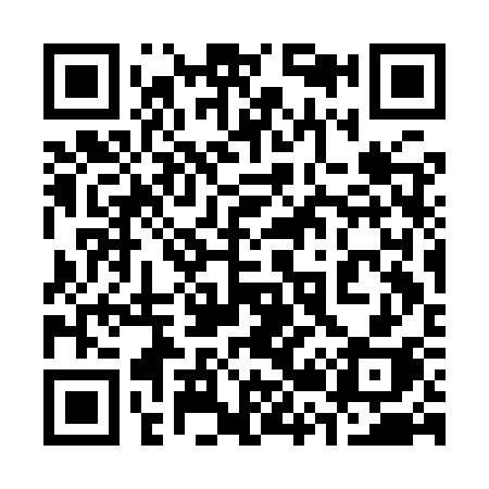 QR code for 323ISH