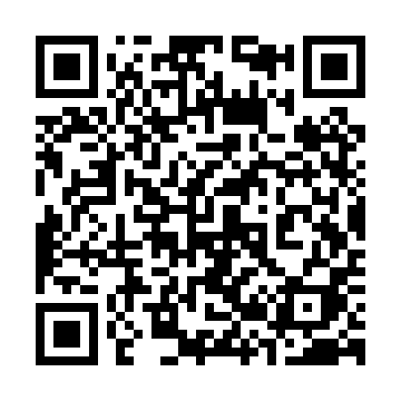QR code for 323PPI