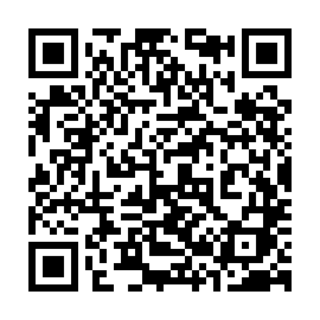 QR code for 323QLI