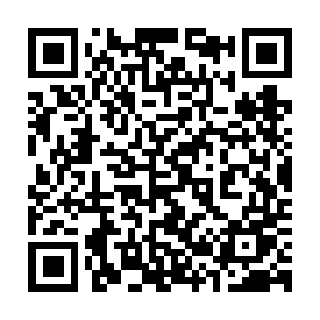 QR code for 323VDU