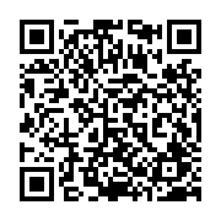 QR code for 325LZV