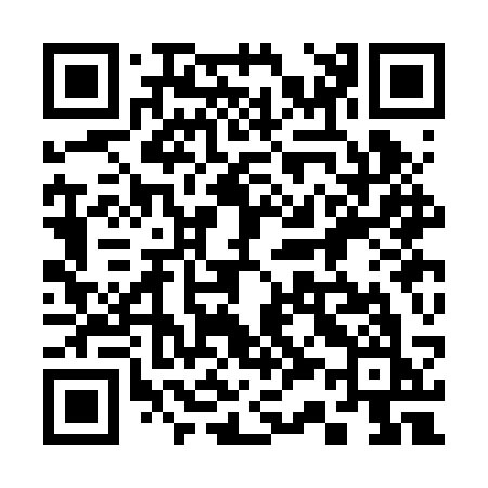 QR code for 333BSK